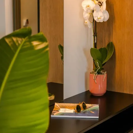 Apartment X Luxury Argostoli (Kefalonia)